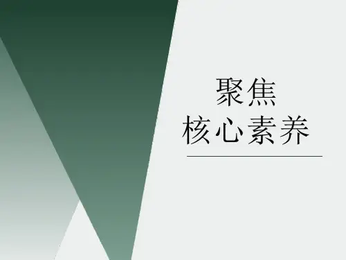 山东省临沂市九年级化学课件：全国化学教学研讨会学习汇报聚焦核心素养(共40张PPT)