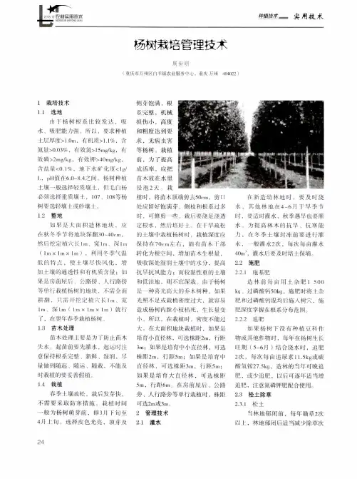 杨树栽培管理技术