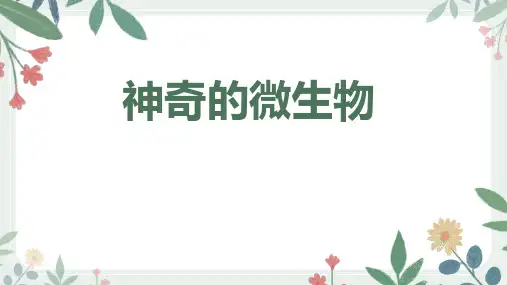 最新苏教版八年级生物上册《神奇的微生物》精品教学课件