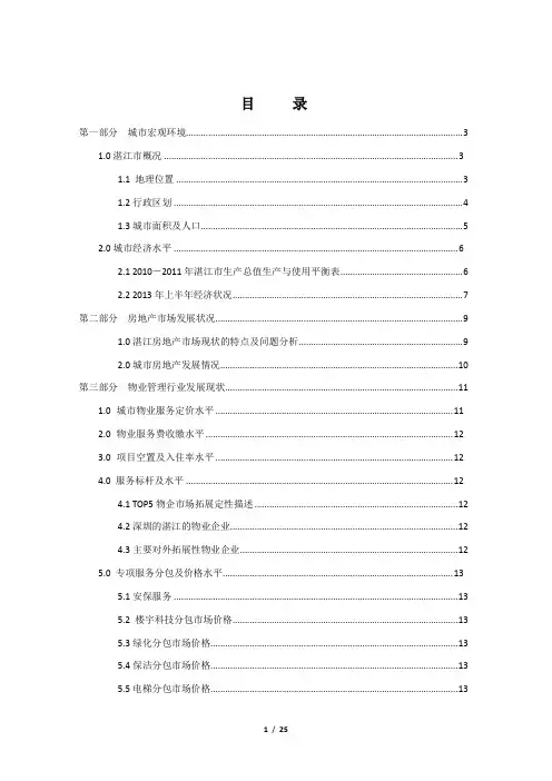 湛江市市场调研报告(20131018)
