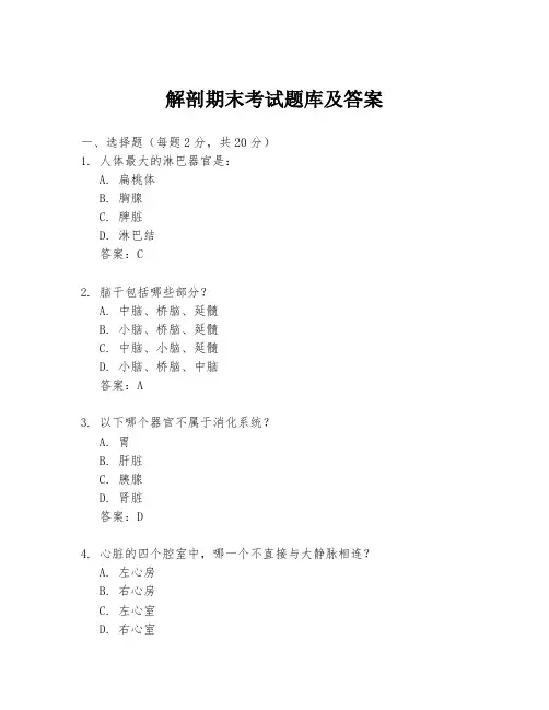 解剖期末考试题库及答案