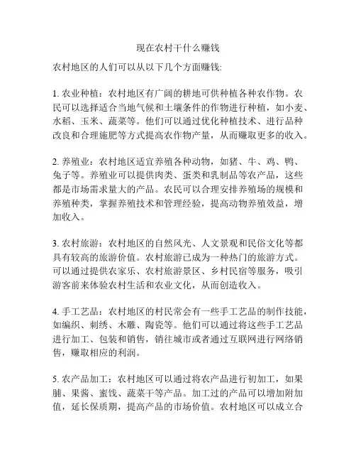 现在农村干什么赚钱