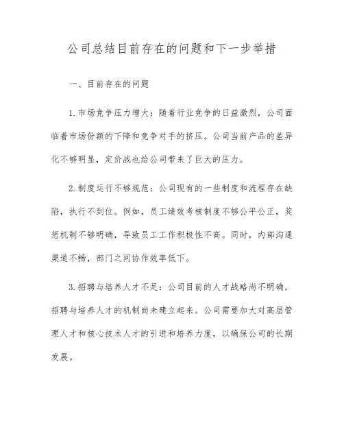 公司总结目前存在的问题和下一步举措