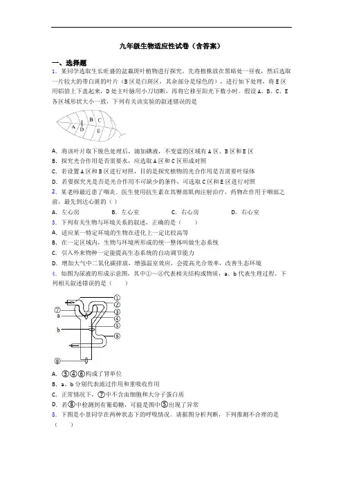 九年级生物适应性试卷(含答案)