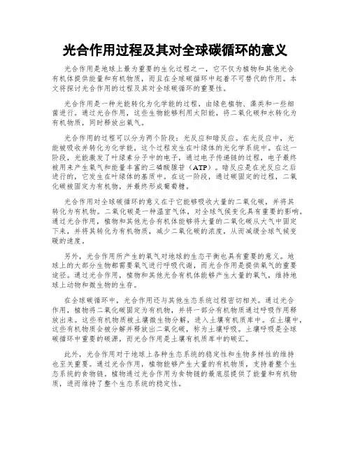 光合作用过程及其对全球碳循环的意义