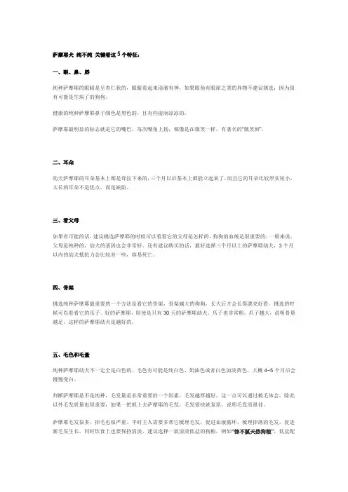 萨摩耶犬 纯不纯 关键看这5个特征
