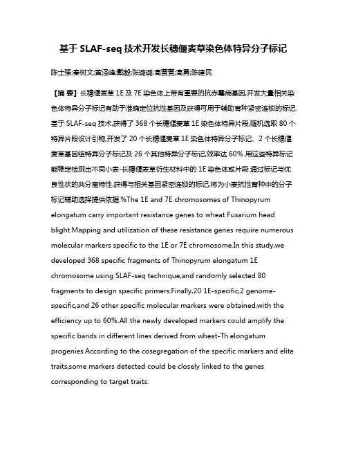 基于SLAF-seq技术开发长穗偃麦草染色体特异分子标记