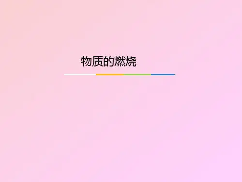 粤教粤科版小学五年级科学上册物质的燃烧