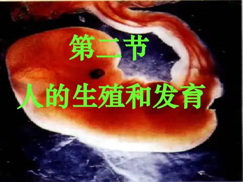 初中七年级生物下册-人的生殖和发育