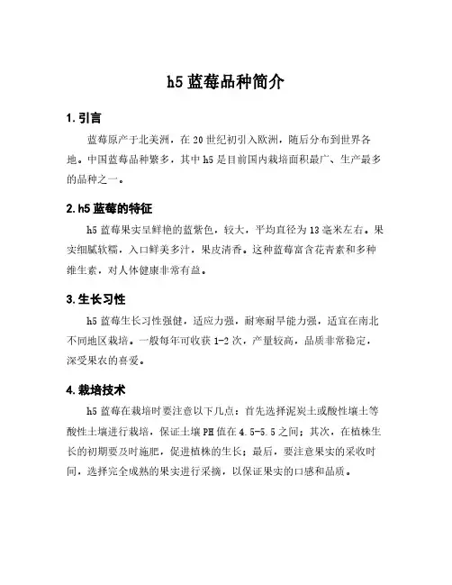 h5蓝莓品种简介