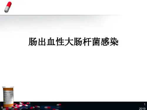 肠出血性大肠杆菌ppt课件
