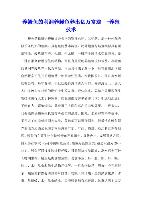 养鳗鱼的利润 养鳗鱼养出亿万富翁  - 养殖技术