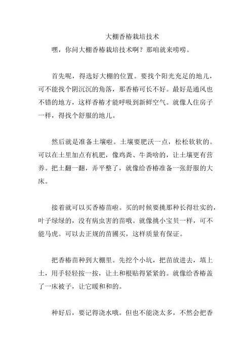 大棚香椿栽培技术