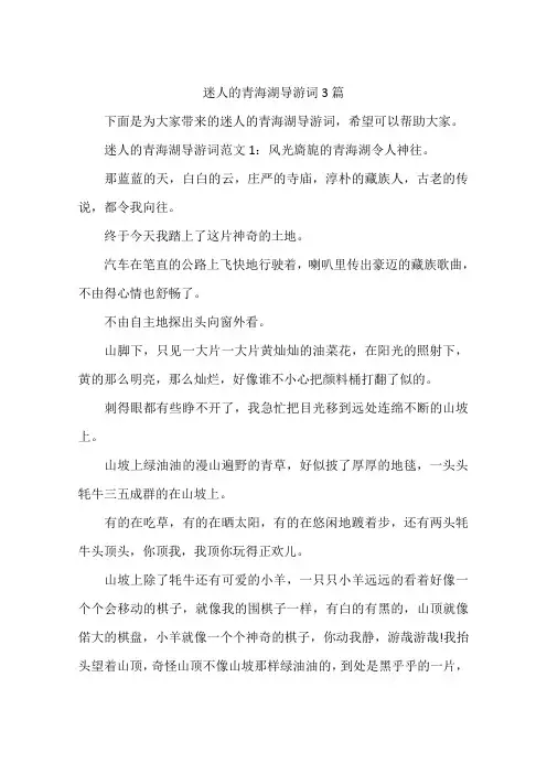 迷人的青海湖导游词3篇