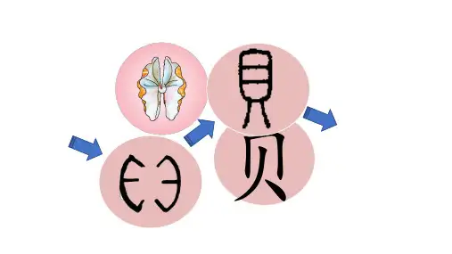 二年级语文下册3“贝”的故事(课件)(共24张PPT)