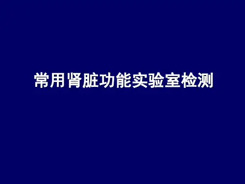 肾功能不全的实验室生物化学诊断