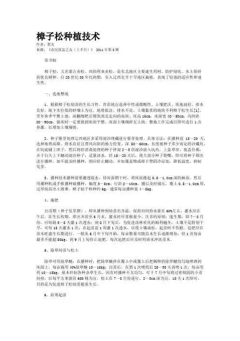 樟子松种植技术