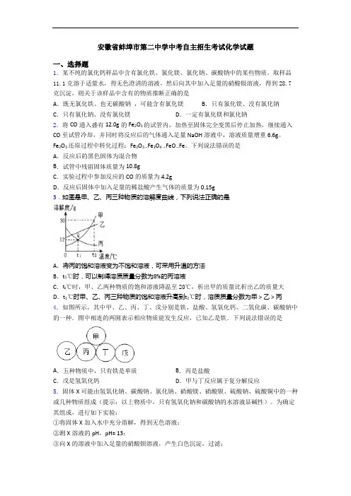 安徽省蚌埠市第二中学中考自主招生考试化学试题