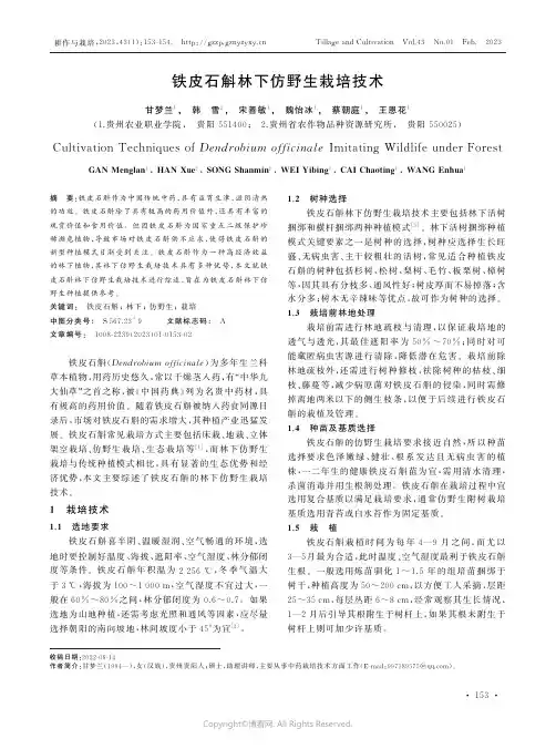 211170565_铁皮石斛林下仿野生栽培技术