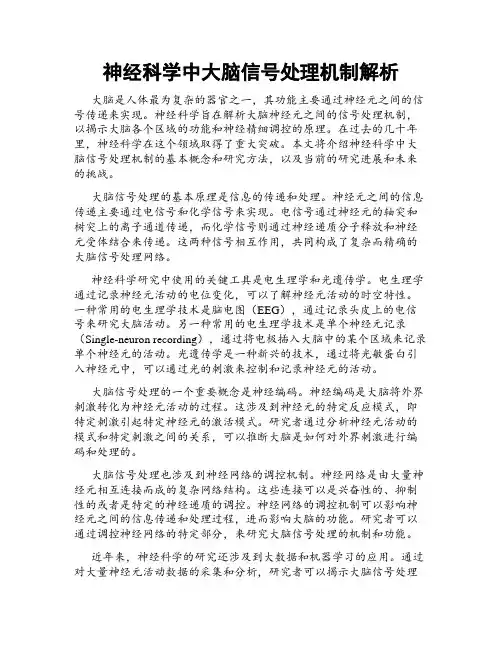 神经科学中大脑信号处理机制解析