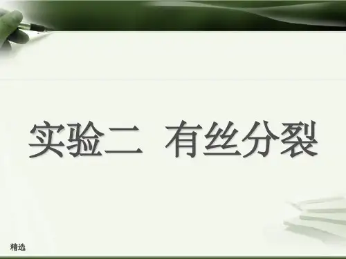 实验二-动物细胞有丝分裂观察PPT课件