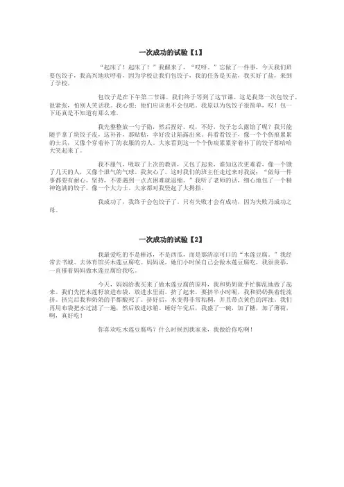 一次成功的试验作文
