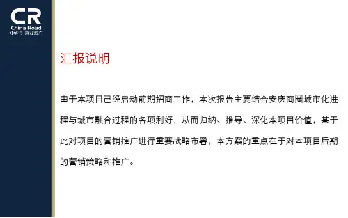XXXX年金大地·安庆(华MALL)项目商业定位及营销策划