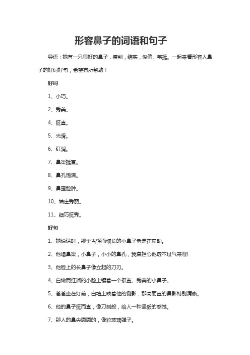 形容鼻子的词语和句子