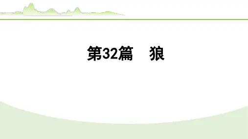 2024年中考语文二轮专题复习：文言文梳理与迁移训练《狼》课件