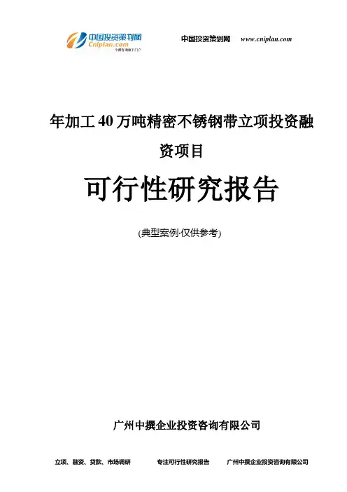 年加工40万吨精密不锈钢带融资投资立项项目可行性研究报告(中撰咨询)