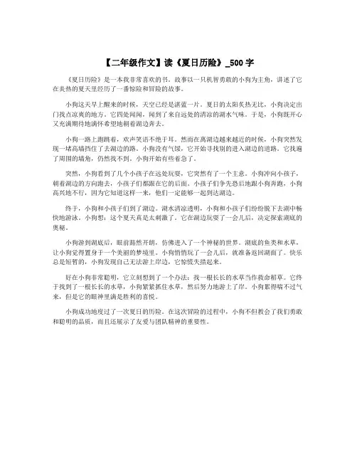 【二年级作文】读《夏日历险》_500字