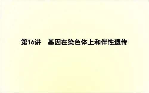 2020版高考人教版生物总复习课件：第16讲 基因在染色体上和伴性遗传