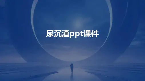 尿沉渣ppt课件