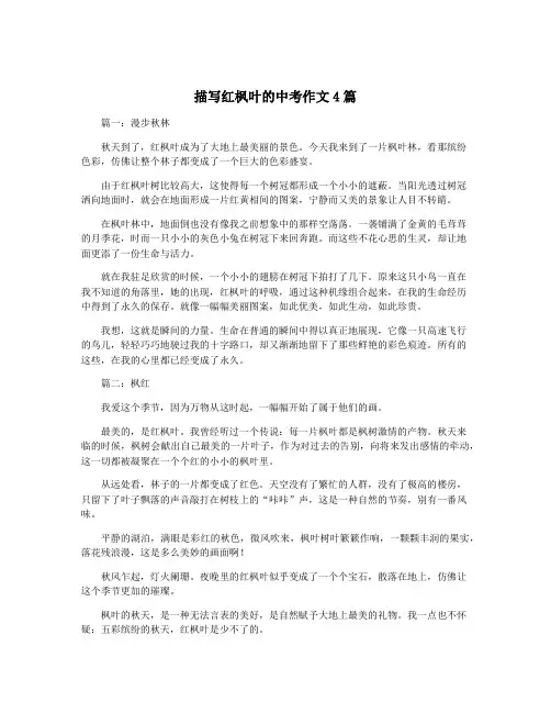 描写红枫叶的中考作文4篇