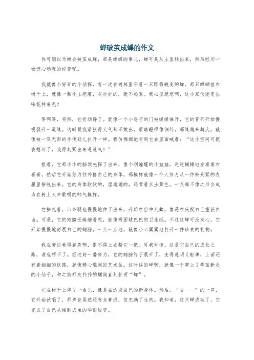 蝉破茧成蝶的作文