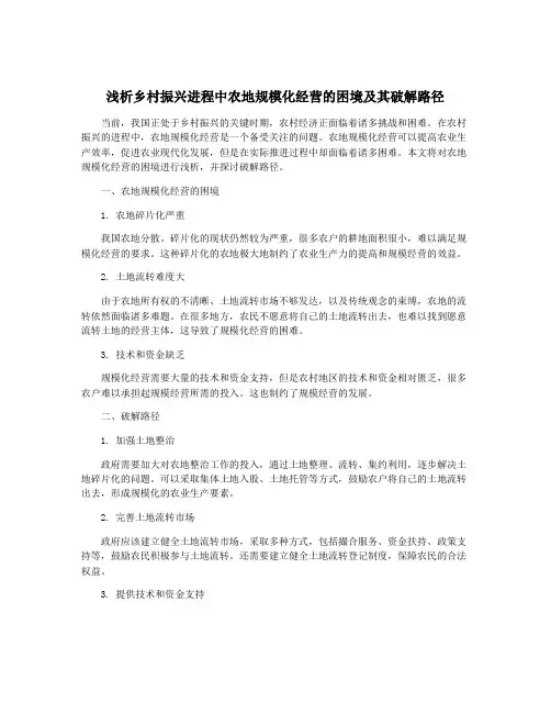 浅析乡村振兴进程中农地规模化经营的困境及其破解路径