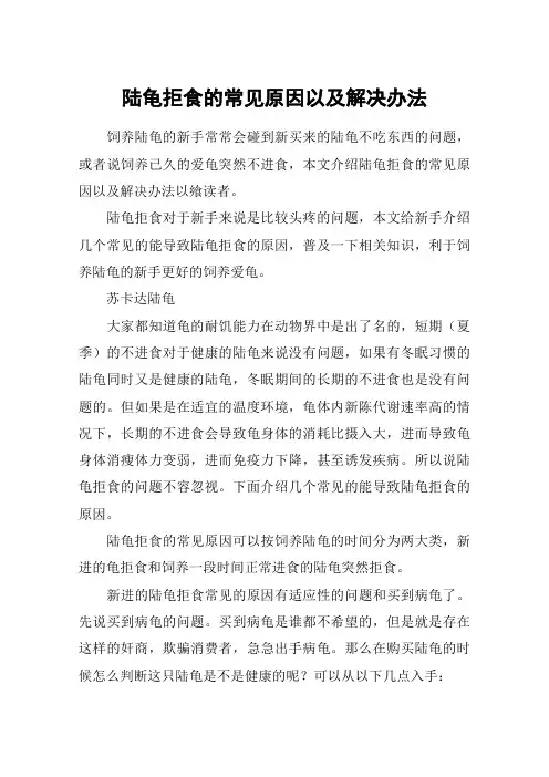 陆龟拒食的常见原因以及解决办法