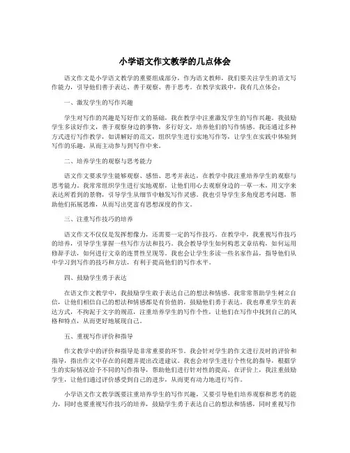 小学语文作文教学的几点体会