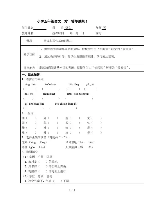 小学五年级语文一对一辅导教案2