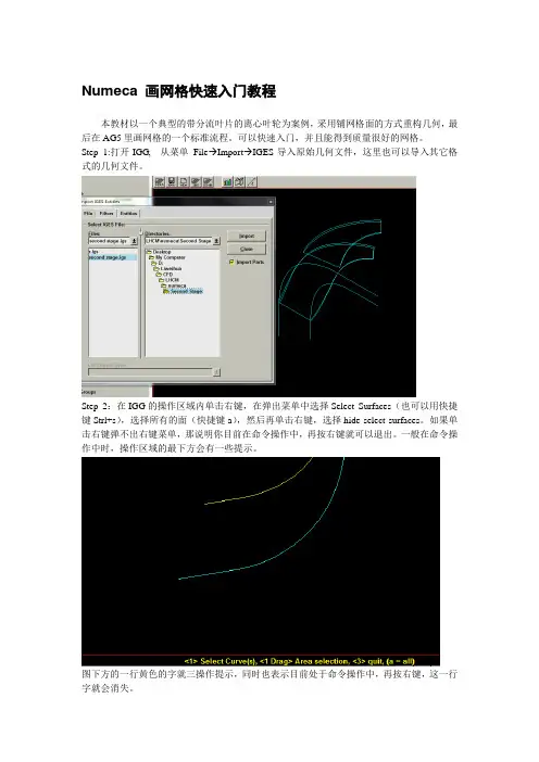 Numeca 画网格快速入门教程解析