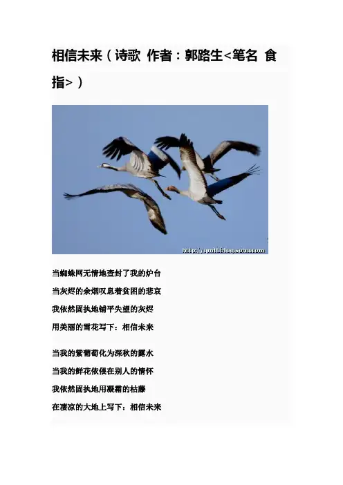 相信未来_诗歌