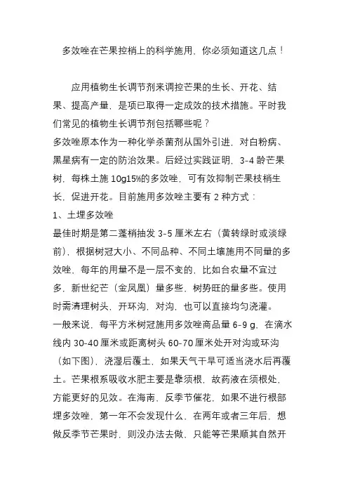 多效唑在芒果控梢上的科学施用,你必须知道这几点!