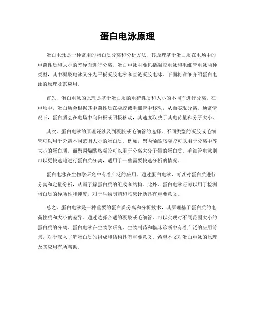 蛋白电泳原理