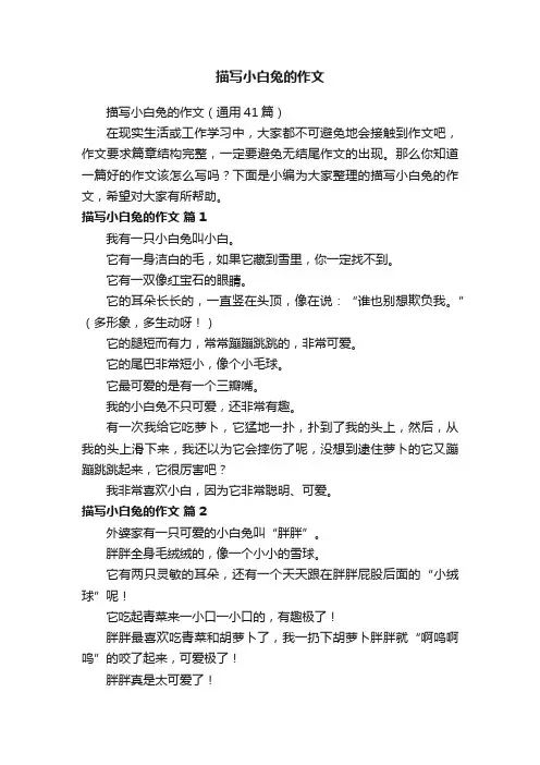 描写小白兔的作文（通用41篇）