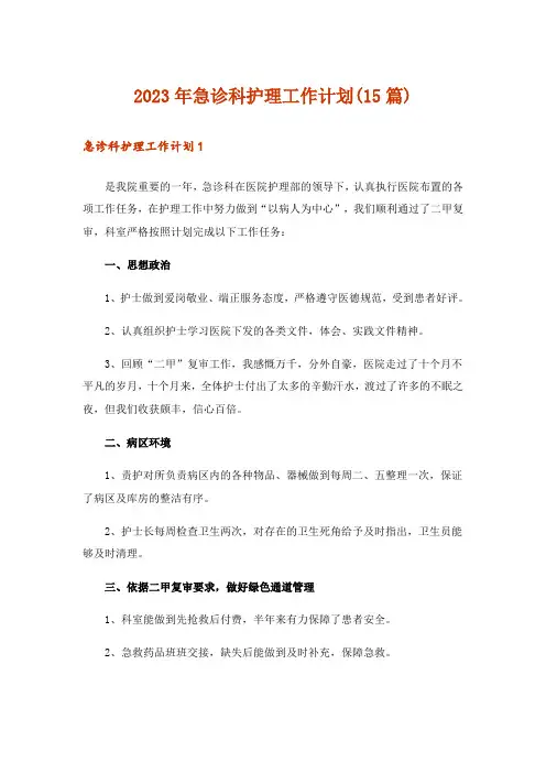 2023年急诊科护理工作计划(15篇)