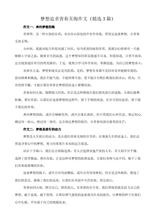 梦想追求青春无悔 作文(精选3篇)