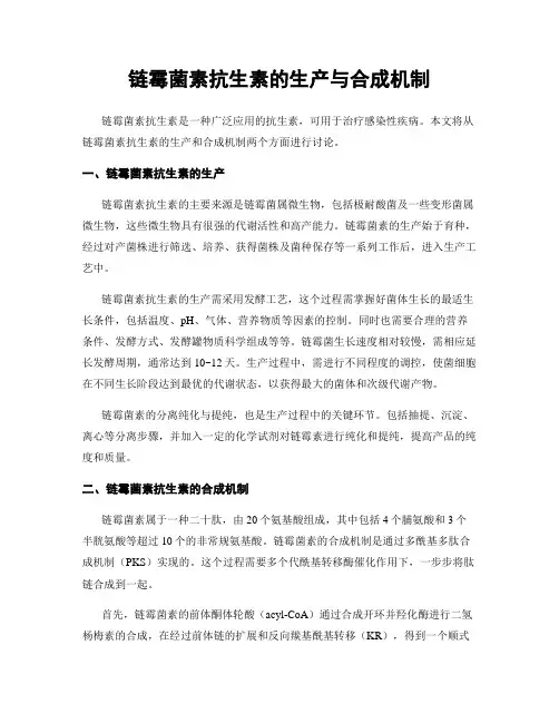链霉菌素抗生素的生产与合成机制
