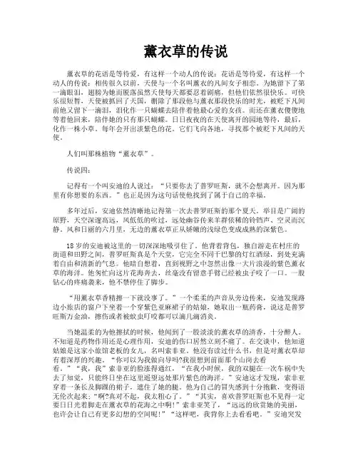 薰衣草的传说