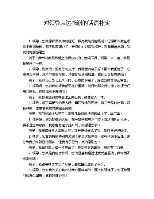 对领导表达感谢的话语朴实