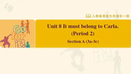 Unit8SectionA3a-3c课件人教版英语九年级全册